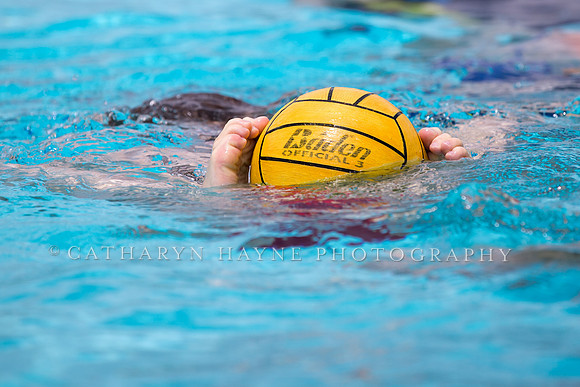 Santa Barbara Water Polo Camp