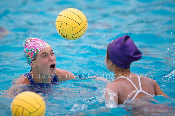 Santa Barbara Water Polo Camp