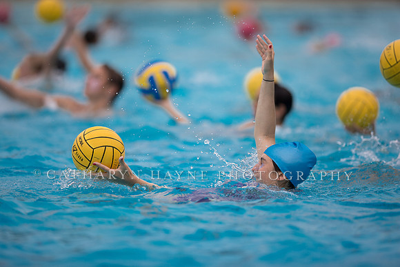 Santa Barbara Water Polo Camp