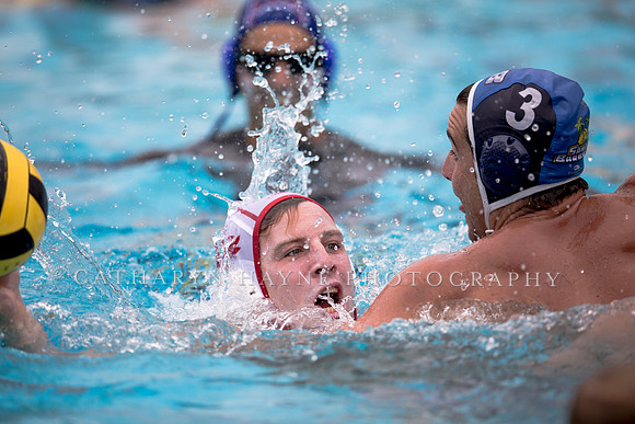 Santa Barbara Water Polo Camp