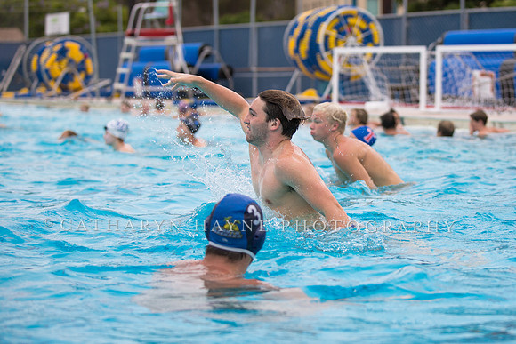 Santa Barbara Water Polo Camp