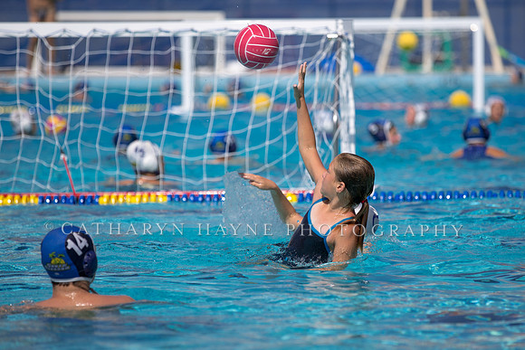 Santa Barbara Water Polo Camp