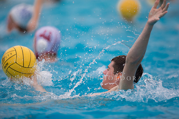 Santa Barbara Water Polo Camp