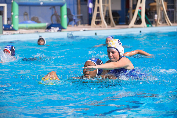 Santa Barbara Water Polo Camp