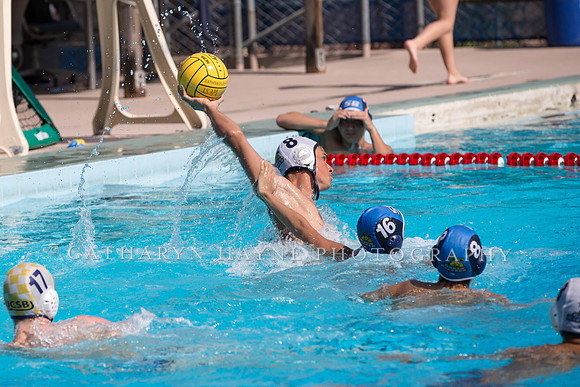 Santa Barbara Water Polo Camp
