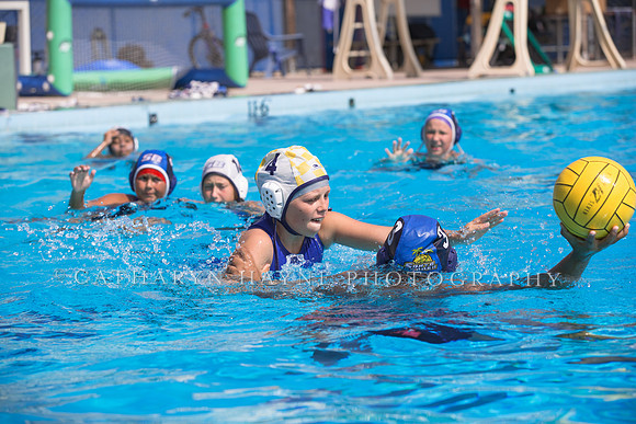 Santa Barbara Water Polo Camp