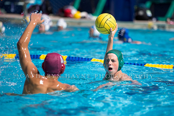Santa Barbara Water Polo Camp