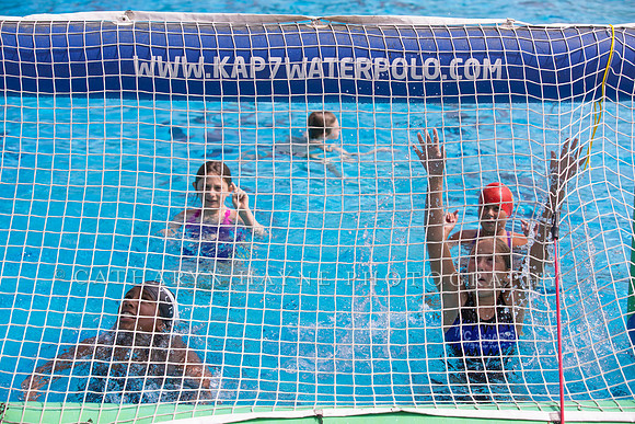 Santa Barbara Water Polo Camp