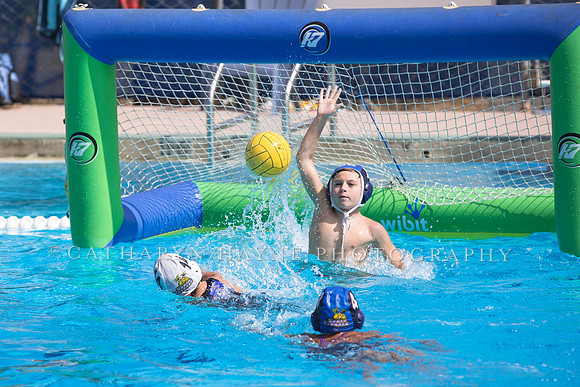Santa Barbara Water Polo Camp