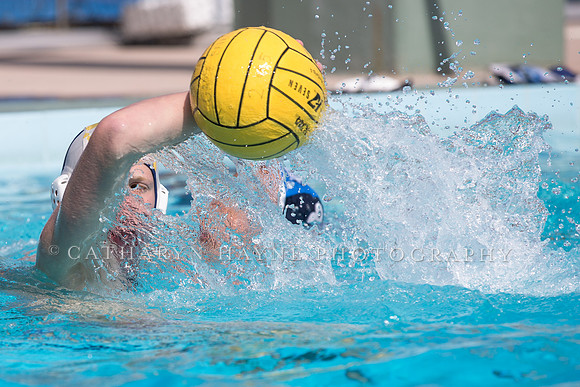 Santa Barbara Water Polo Camp