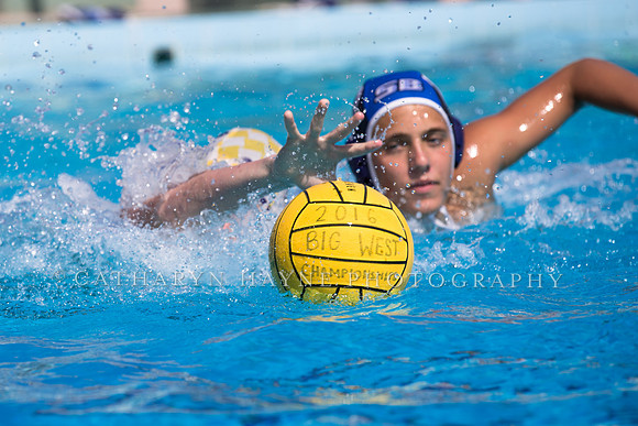 Santa Barbara Water Polo Camp