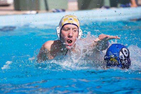 Santa Barbara Water Polo Camp