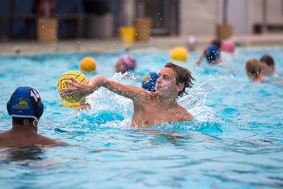 Santa Barbara Water Polo Camp