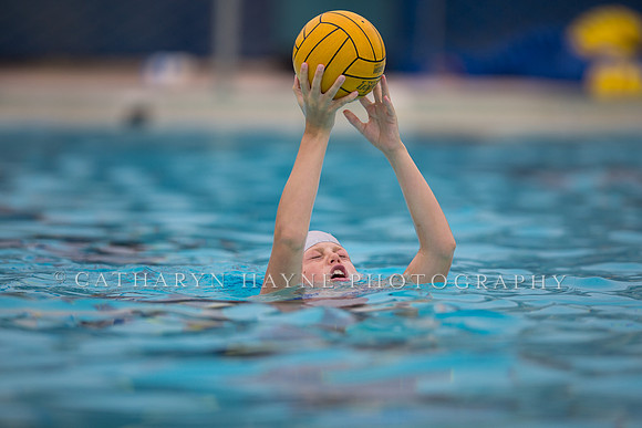 Santa Barbara Water Polo Camp