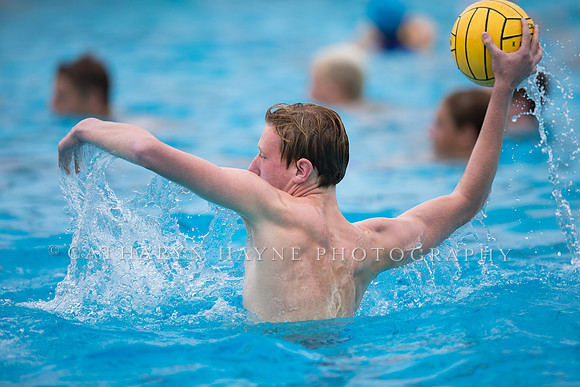 Santa Barbara Water Polo Camp