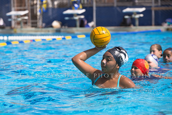 Santa Barbara Water Polo Camp