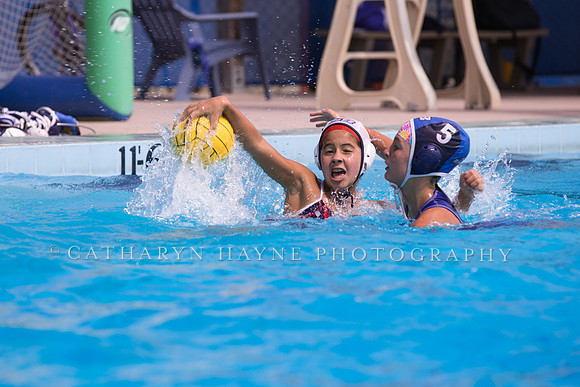 Santa Barbara Water Polo Camp