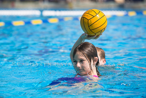 Santa Barbara Water Polo Camp