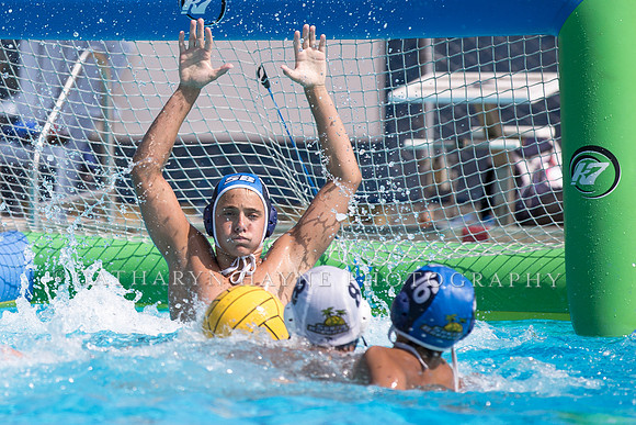 Santa Barbara Water Polo Camp