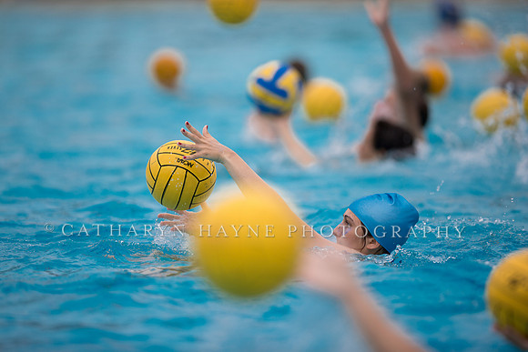 Santa Barbara Water Polo Camp