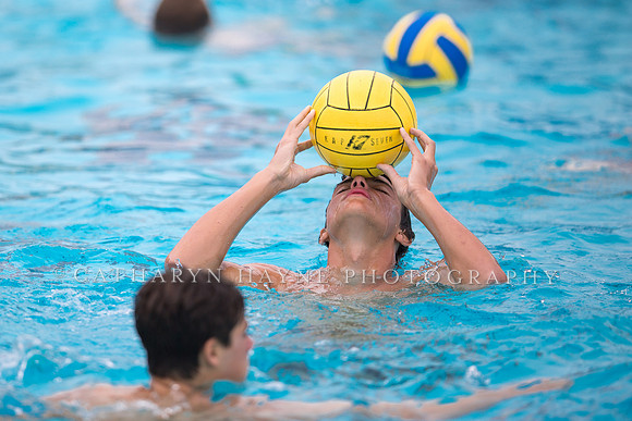 Santa Barbara Water Polo Camp