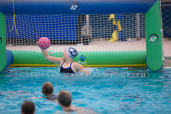 Santa Barbara Water Polo Camp