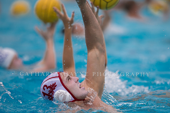 Santa Barbara Water Polo Camp