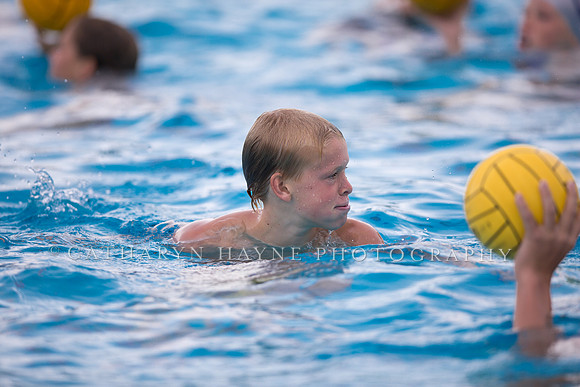 Santa Barbara Water Polo Camp