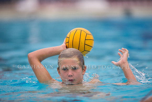 Santa Barbara Water Polo Camp