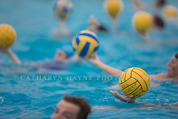 Santa Barbara Water Polo Camp
