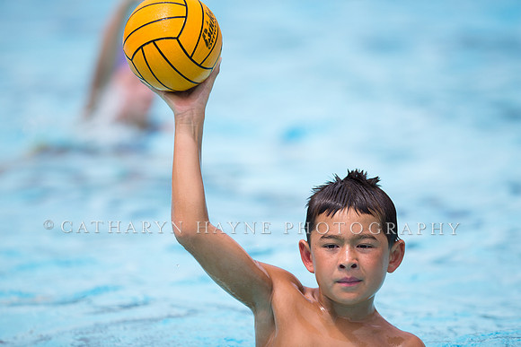 Santa Barbara Water Polo Camp