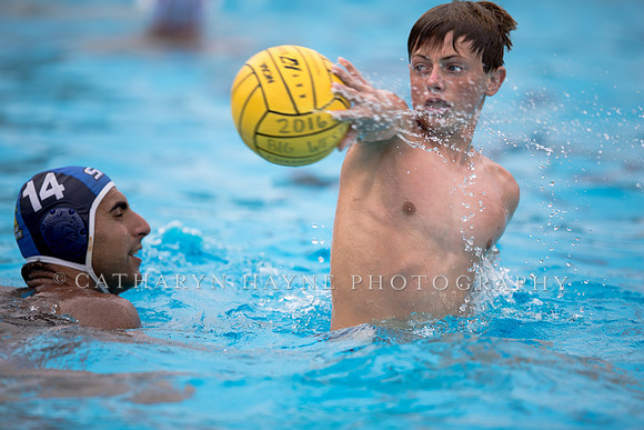 Santa Barbara Water Polo Camp