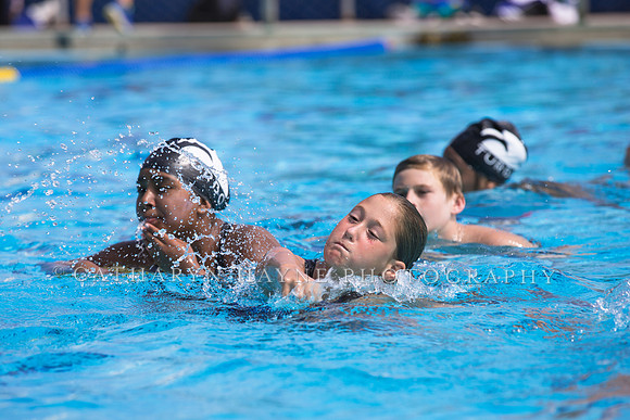 Santa Barbara Water Polo Camp