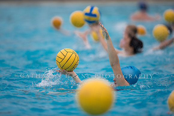 Santa Barbara Water Polo Camp