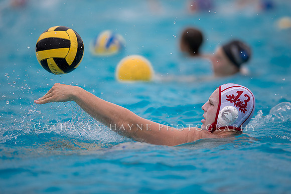 Santa Barbara Water Polo Camp
