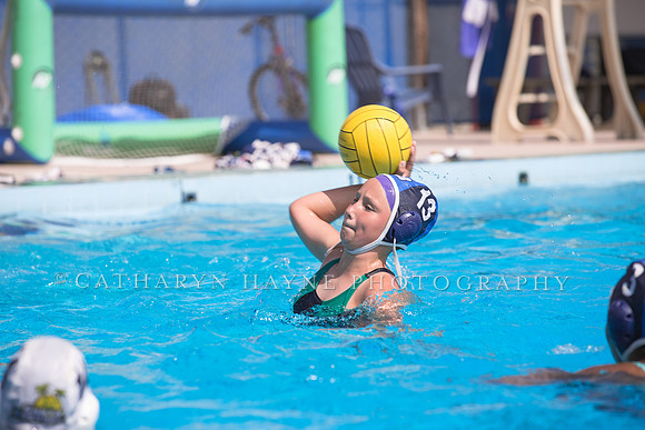 Santa Barbara Water Polo Camp