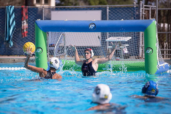 Santa Barbara Water Polo Camp