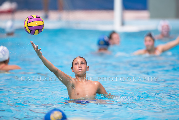 Santa Barbara Water Polo Camp