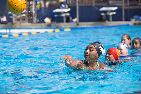 Santa Barbara Water Polo Camp
