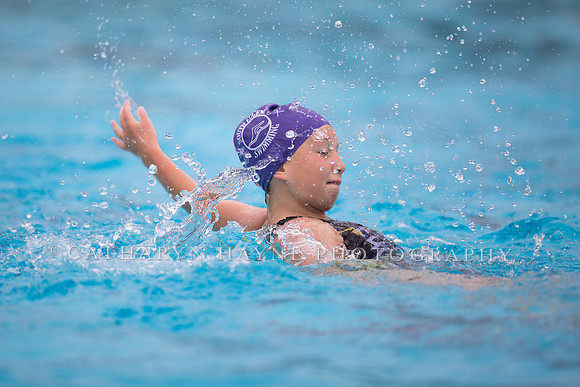 Santa Barbara Water Polo Camp