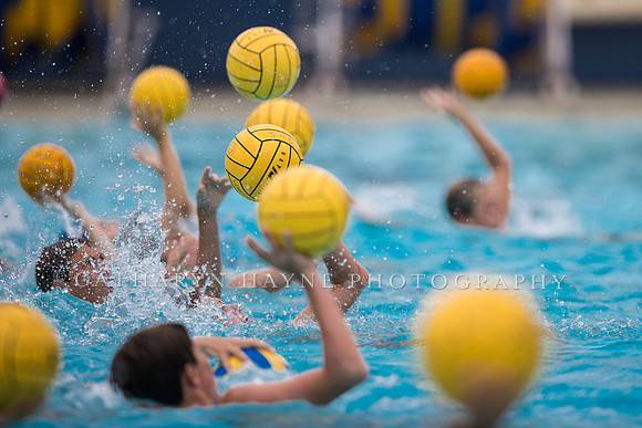 Santa Barbara Water Polo Camp