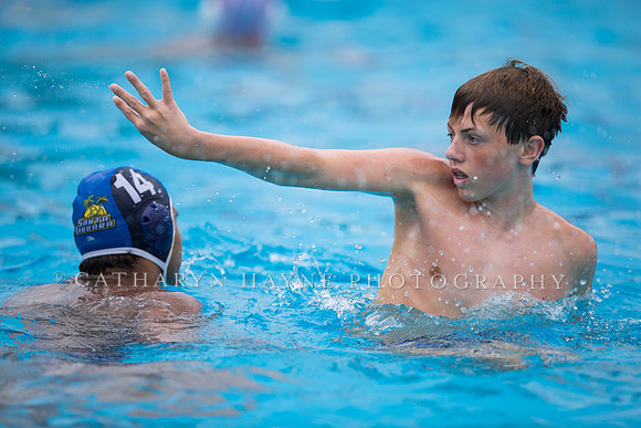 Santa Barbara Water Polo Camp