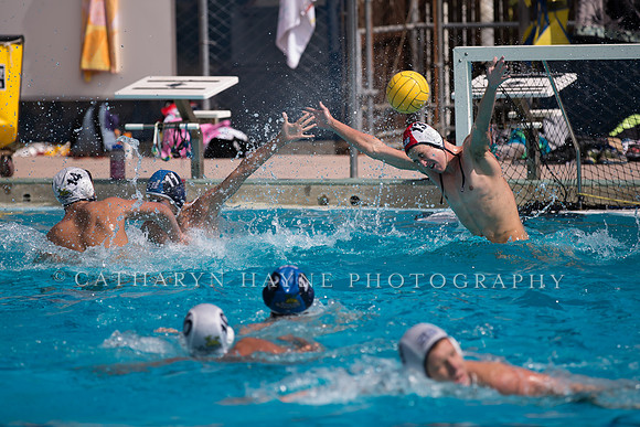 Santa Barbara Water Polo Camp