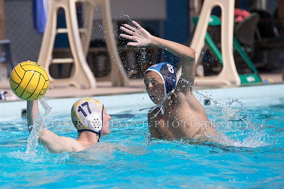 Santa Barbara Water Polo Camp