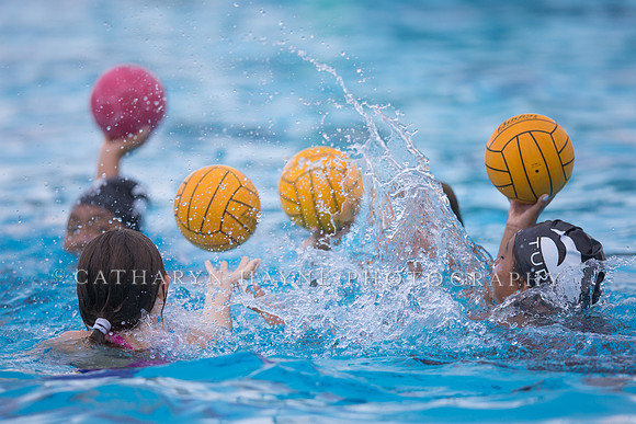 Santa Barbara Water Polo Camp