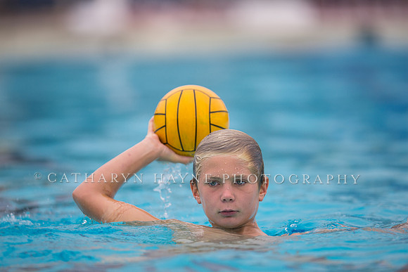 Santa Barbara Water Polo Camp