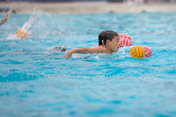 Santa Barbara Water Polo Camp