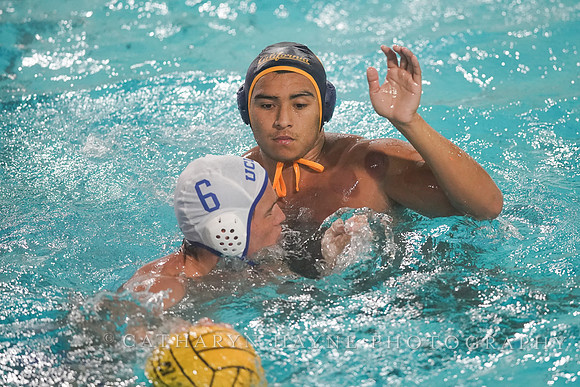 MWP: California Golden Bears vs UCLA Bruins
