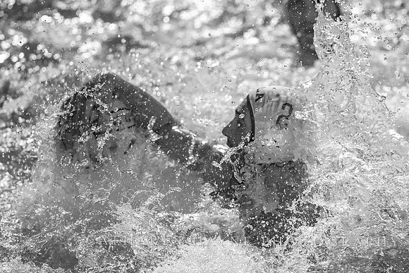 MWP: California Golden Bears vs UCLA Bruins