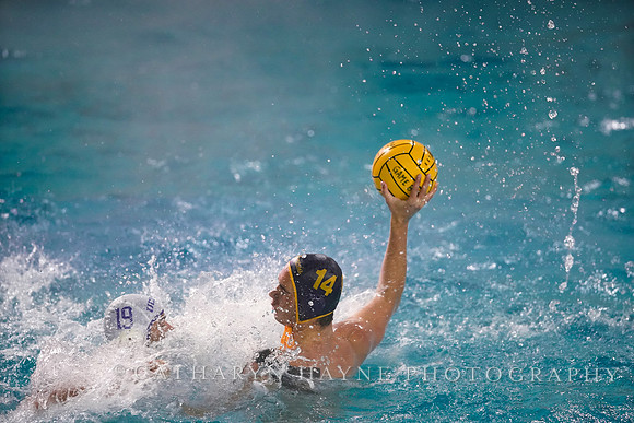 MWP: California Golden Bears vs UCLA Bruins